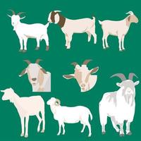 Faceless Flat Goat vector