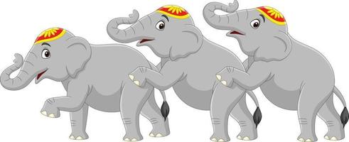 Three cute elephant circus cartoon vector
