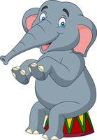 Cartoon cute elephant sitting vector