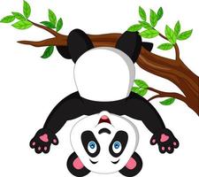 Cartoon panda hanging on tree branch vector