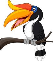 Cartoon hornbill bird isolated on white background vector