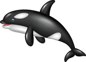 orca de dibujos animados aislado sobre fondo blanco vector