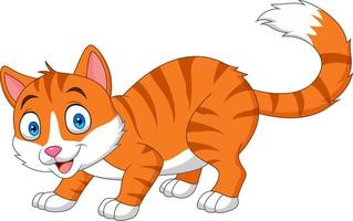 Cartoon funny cat isolated on white background vector