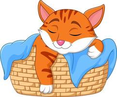 Cartoon cat sleeping in the basket vector