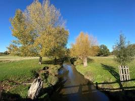 A view of Richmond Park in London in the Autumn sunshine photo