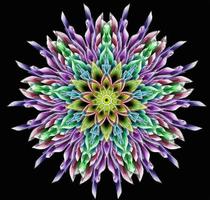 Abstract intricate symmetrical floral ornament. Fantastic fractal mandala. Psychedelic digital art. 3d rendering. vector