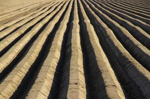 Straight patterns on a cultivated agricultural field photo