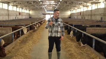 agriculteur heureux à la ferme d'engraissement de viande en regardant la caméra. le fermier regarde la caméra et sourit. video