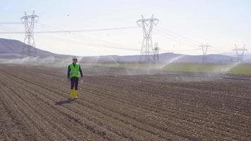 ingeniero en riego agrícola y tierras de cultivo. el ingeniero mira a su alrededor mientras camina por el campo de riego agrícola. video