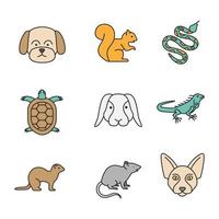 Pets color icons set. Maltese dog, squirrel, python, tortoise, rabbit, iguana, ferret, mouse, Canadian Sphynx. Isolated vector illustrations