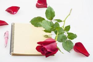 Red rose and pink pen with notebook on white background - love and flower e-card concept photo