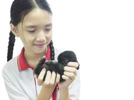 Asian kid playing with lovely baby rabbit isolated over white photo