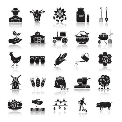 Agriculture drop shadow black glyph icons set. Farming. Agricultural implement. Isolated vector illustrations