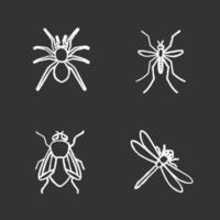 Insects chalk icons set. Spider, dragonfly, housefly, mosquito. Isolated vector chalkboard illustrations