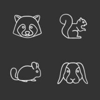 conjunto de iconos de tiza de mascotas. mapache, ardilla, chinchilla, conejo. Ilustraciones de vector pizarra