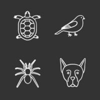 conjunto de iconos de tiza de mascotas. tortuga, canario, araña, doberman pinscher. Ilustraciones de vector pizarra