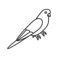 Budgerigar linear icon. Thin line illustration. Common parakeet. Parrot. Contour symbol. Vector isolated outline drawing