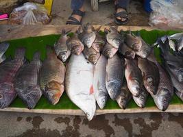 Fish for sale at the local market. photo