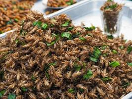 Fried crickets white for sale in the market photo