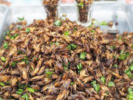 Fried crickets white for sale in the market photo