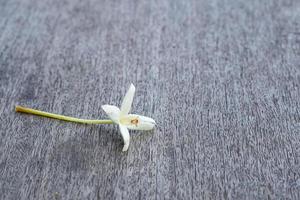 Millingtonia hortensis on gray wooden table photo