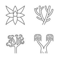 Desert plants linear icons set. Exotic flora. Fox tale agave, pencil cactus, joshua tree, ponytail palm. Thin line contour symbols. Isolated vector outline illustrations. Editable stroke