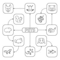 Pets mind map with linear icons. Domestic animals concept scheme. Lizard, goldfish, iguana, chinchilla, frog, raccoon, snake, snail, dwarf rabbit, German Shepherd, cavy. Isolated vector illustration