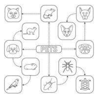 Pets mind map with linear icons. Domestic animals concept scheme. British cat, Canadian Sphynx, German Shepherd, pug, ferret, spider, tortoise, cockroach, parrot, cavy. Isolated vector illustration