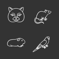 Pets chalk icons set. British cat, mouse, cavy, budgerigar. Isolated vector chalkboard illustrations