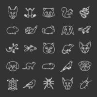 Pets chalk icons set. Exotic animals. Rodents, birds, reptiles, insects, dogs, cats. Isolated vector chalkboard illustrations