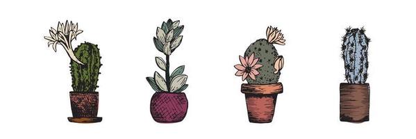 Cactus sketch. House plants in pots set collection. Hobby at home. Botany  decoration for interior. Vector illustration  on white background