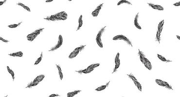 Feathers on white background. Hand drawn sketch style. vector