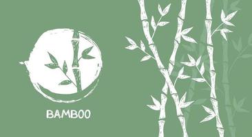 árbol de bambú. estilo dibujado a mano. ilustraciones vectoriales. vector