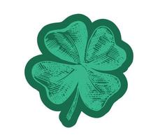 Patrick day. Clover, hand drawn illustration. vector