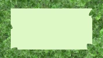 Green leaf frame isolated on white background with space to insert text. photo