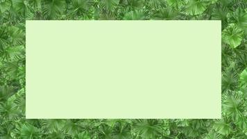Green leaf frame isolated on white background with space to insert text. photo