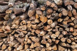 The branch of fire wood material background.