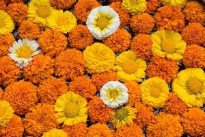 Group of colourful flowers use as background. photo