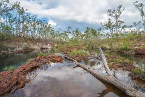 The scenery view of Giddy river in Arnhem land of Northern Territory state of Australia. photo