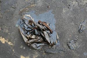 Water pollution - old garbage and oil photo