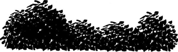 Monochrome vector drawing of bushes.