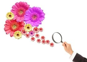 flower and magnifying glass on a white background. photo