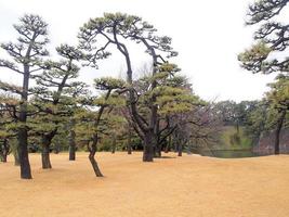 vista del horizonte de tokio desde los jardines exteriores del palacio imperial foto