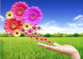 Woman's hand with flowers photo