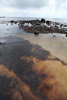 Gulf oil spill is shown on a beach photo