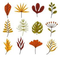 Colorful autumn leaves vector collection. Hand drawn sketch of forest, meadow plants. Leaves of garden and wild trees - maple, oak, horsetail, poppy, palm. Collection of flat botanical clipart