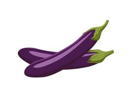 Vector illustration, eggplant or Solanum melongena, isolated on white background, farm produce design.