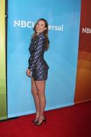 LOS ANGELES, JAN 19 -  Jessica McNamee at the NBC TCA Winter 2014 Press Tour at Langham Huntington Hotel on January 19, 2014 in Pasadena, CA photo