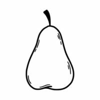 Pear on white background. Vector doodle illustration. Sketch.