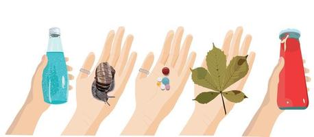 hands with different objects pills, a fallen leaf, a snail, a drink in a bottle. vector